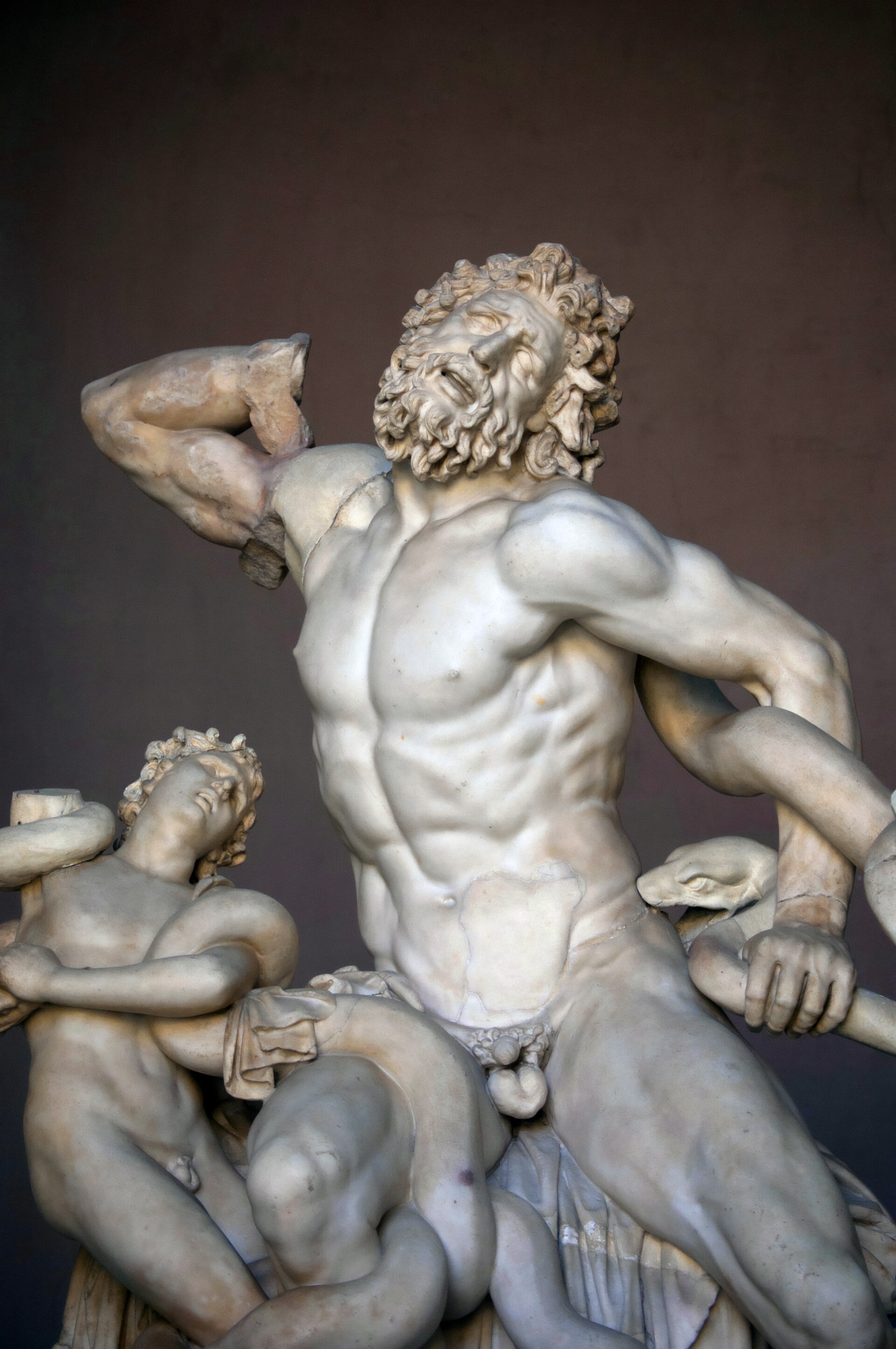 O grupo escultórico de Laocoonte e seus filhos