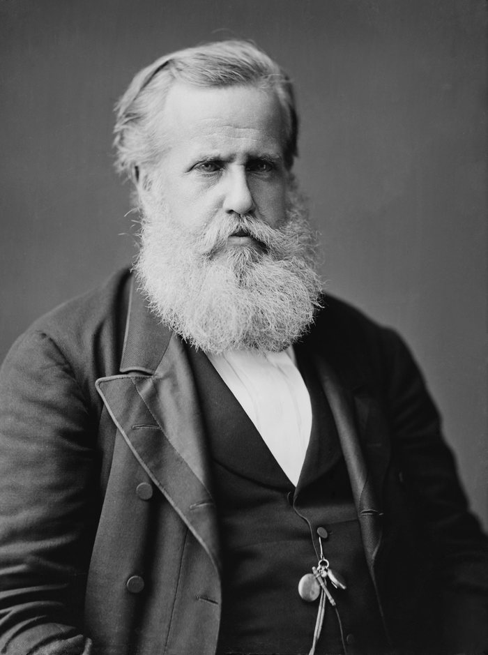 Retrato de Dom Pedro II